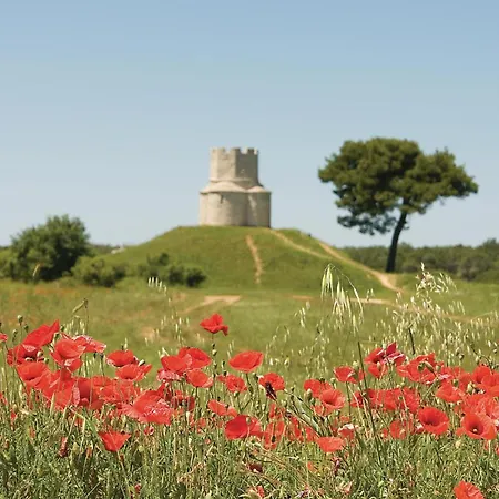 2 Bedroom Amazing In Apartamento